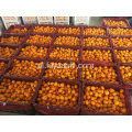 Gorąca sprzedaż w Bangladesz Market Baby Mandarin